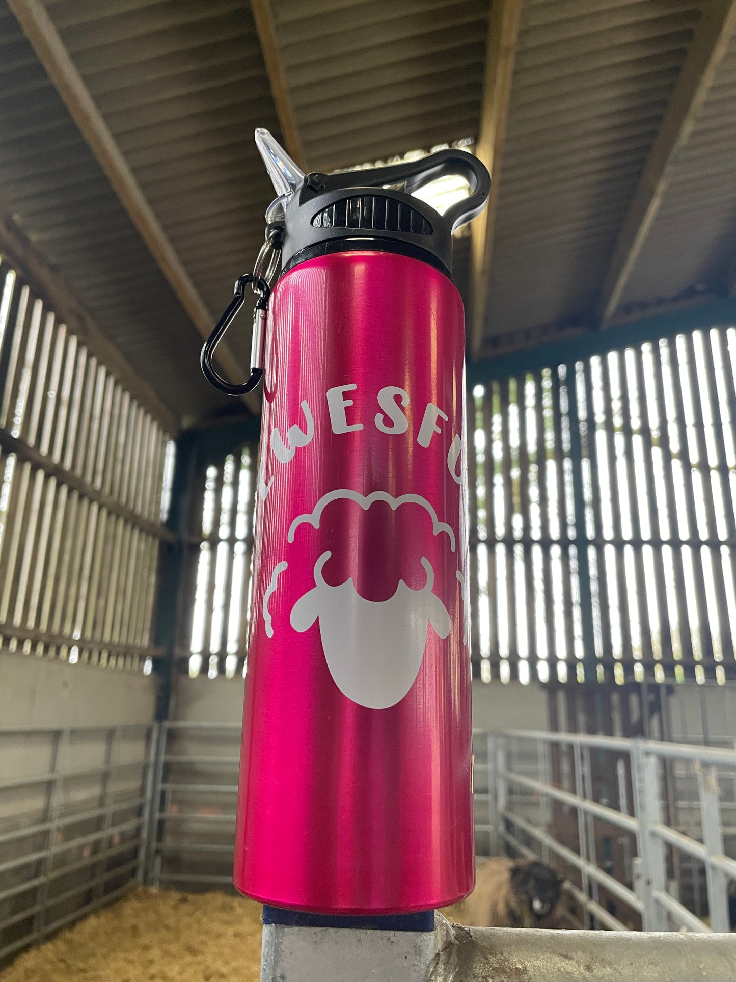 Sheep Logo 800ml Water Bottle (Pink)