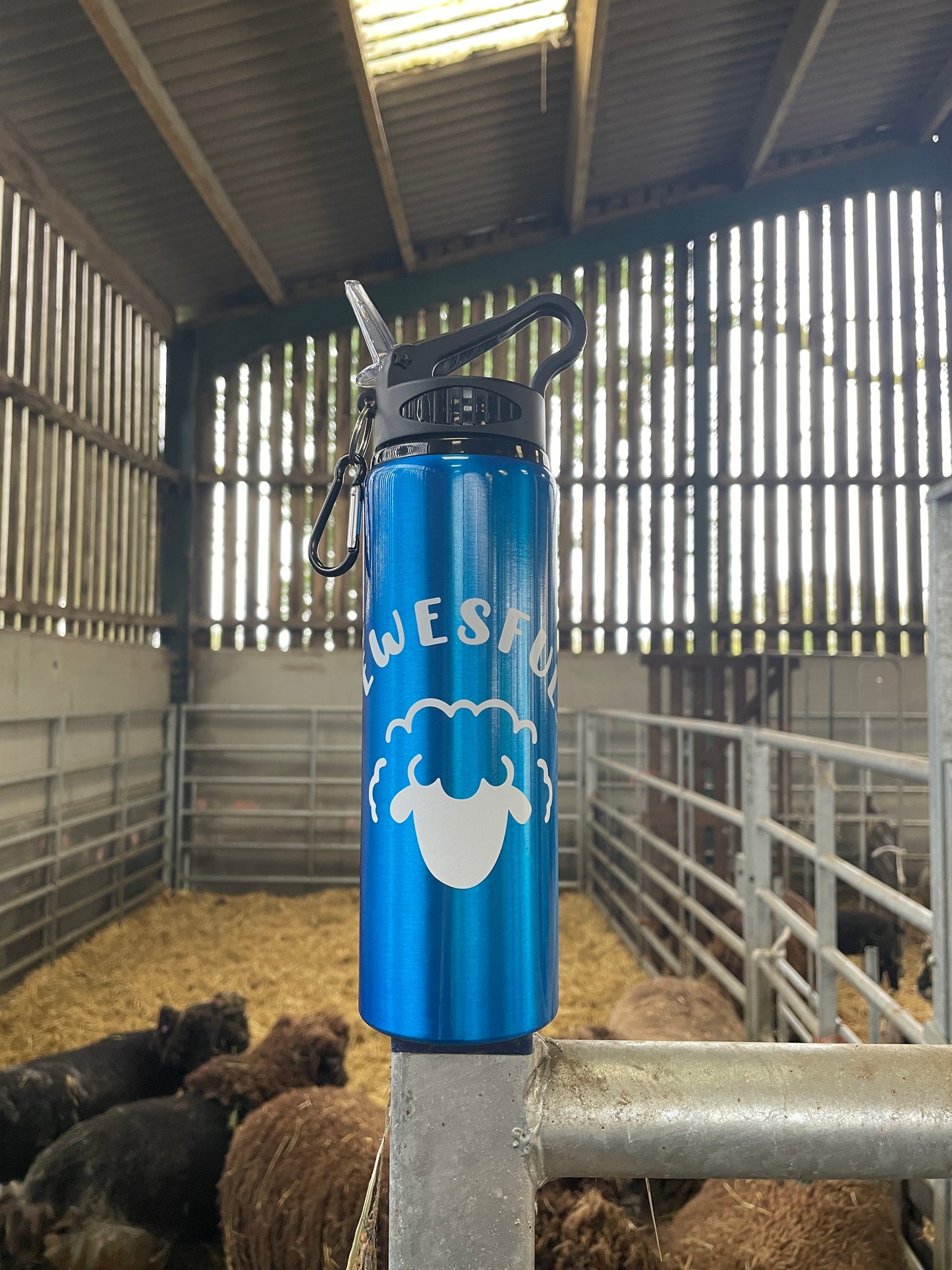 Sheep Logo 800ml Water Bottle (Blue)